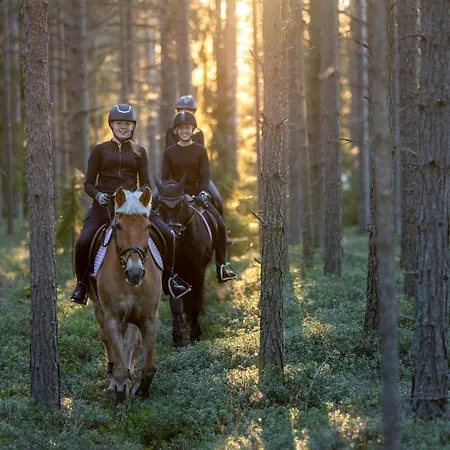Loma-asunnot Taehtisara A - Ulkoporeammeella Lisaemaksullinen Kalajoki