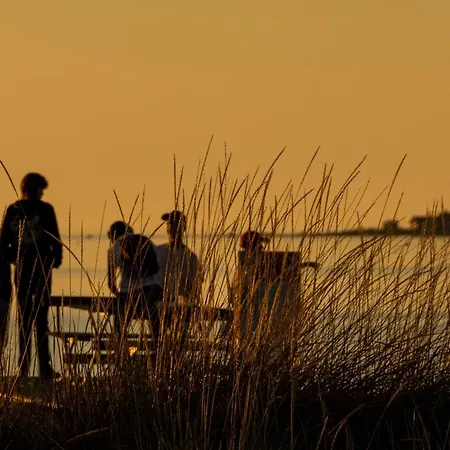 Taehtisara A - Ulkoporeammeella Lisaemaksullinen