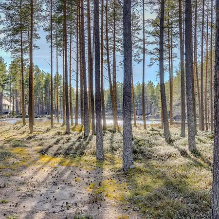 Taehtisara A - Ulkoporeammeella Lisaemaksullinen