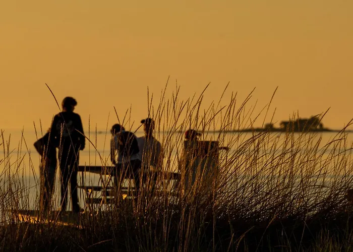 Taehtisara A - Ulkoporeammeella Lisaemaksullinen